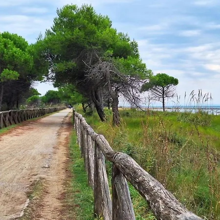 Daire 300mt From The Sea